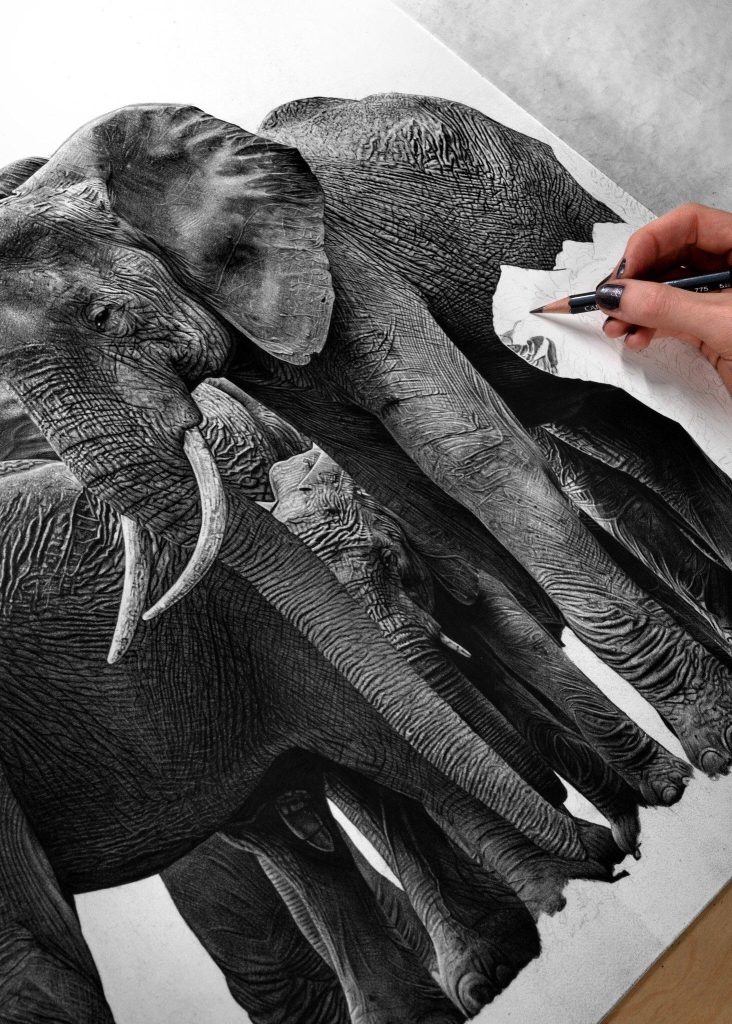 valósághű elefánt rajz